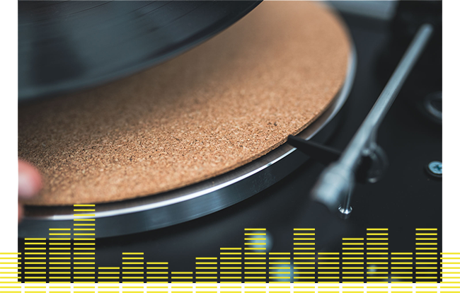 Vinyl Records Slipmat in Use