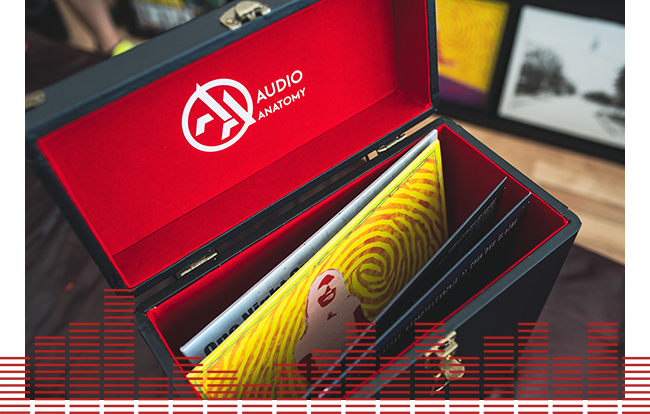 Vinyl Records Case in Use